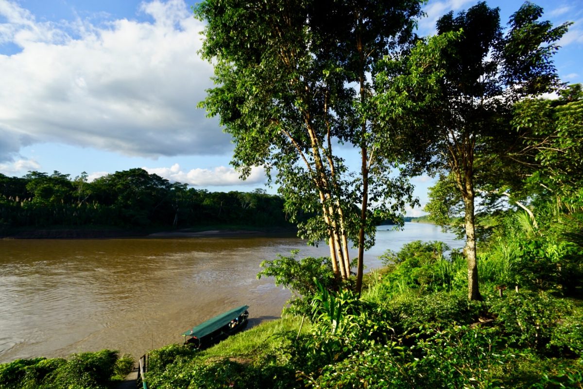 Amazonas Regenwald in Peru, bei Puerto Maldonado